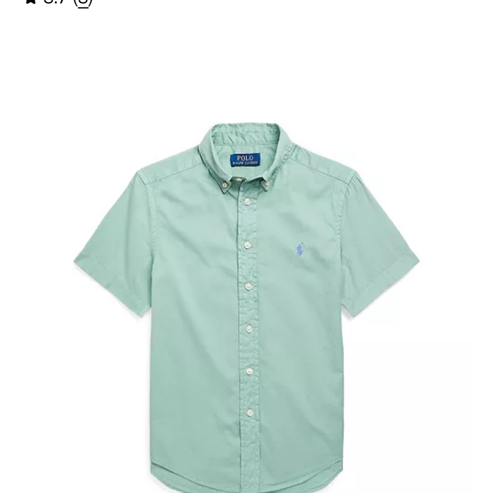 Polo by Ralph Lauren Men's Mint Green Button Down Shirt